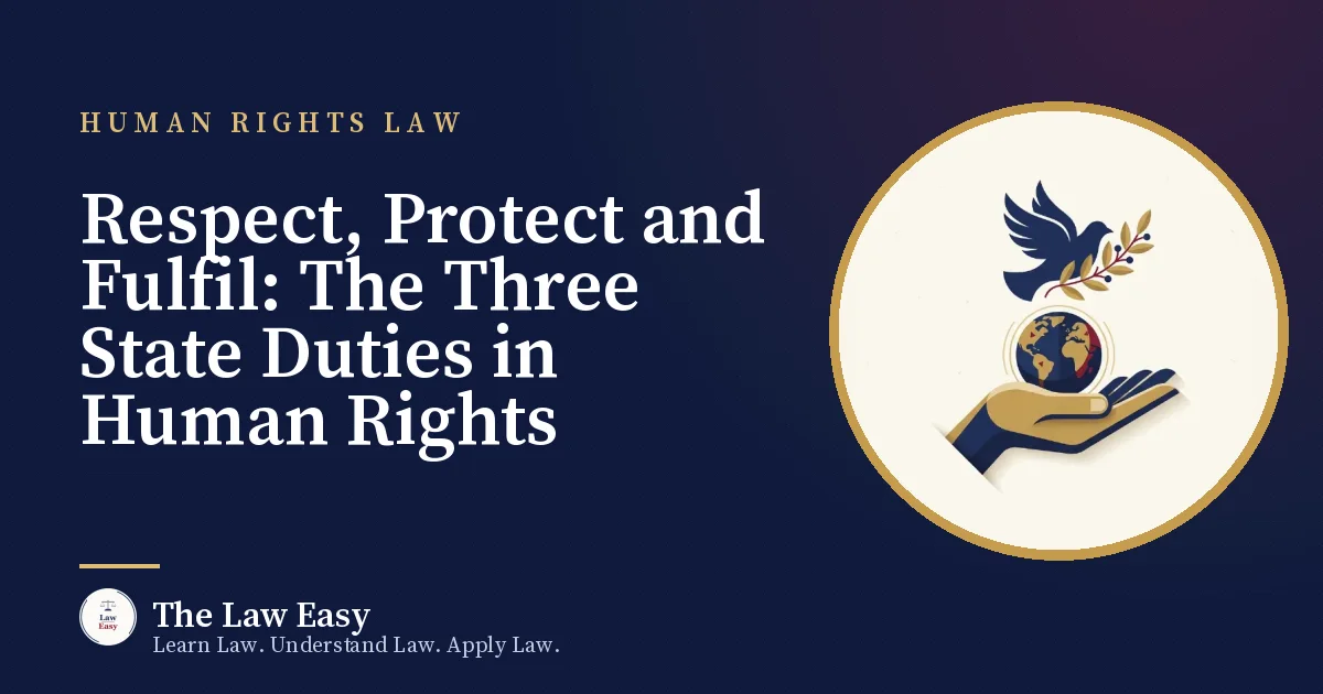 Cover: Respect, Protect and Fulfil: The Three State Duties in Human Rights